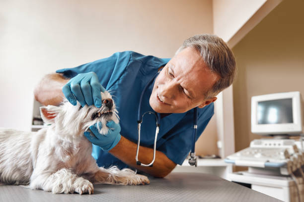 Best Emergency Wisdom Teeth Removal in Ruidoso, NM
